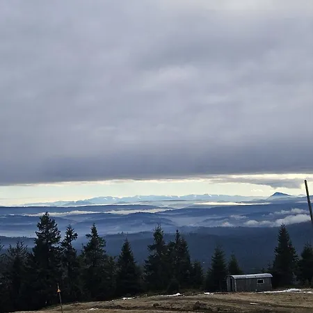 Apartmán Leszczynska 29 - Blisko Szczyrk, Darmowy Parking, Idealny Na Narty I Rower *