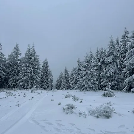 Leszczynska 29 - Cicho, Blisko Centrum, Idealny Na Rower I Narty Bielsko-Biała