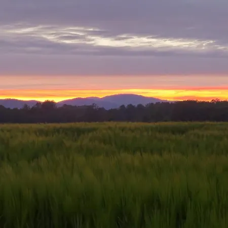 Leszczynska 29 - Blisko Szczyrk, Darmowy Parking, Idealny Na Narty I Rower * Bílsko-Bělá