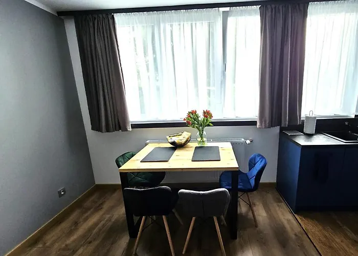 Leszczynska 29 - Blisko Szczyrk, Darmowy Parking, Idealny Na Narty I Rower Apartmán