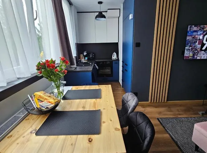 Leszczynska 29 - Cicho, Blisko Centrum, Idealny Na Rower I Narty Lejlighed *