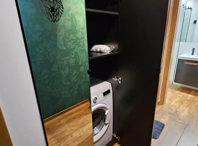 Leszczynska 29 - Blisko Szczyrk, Darmowy Parking, Idealny Na Narty I Rower * Bílsko-Bělá