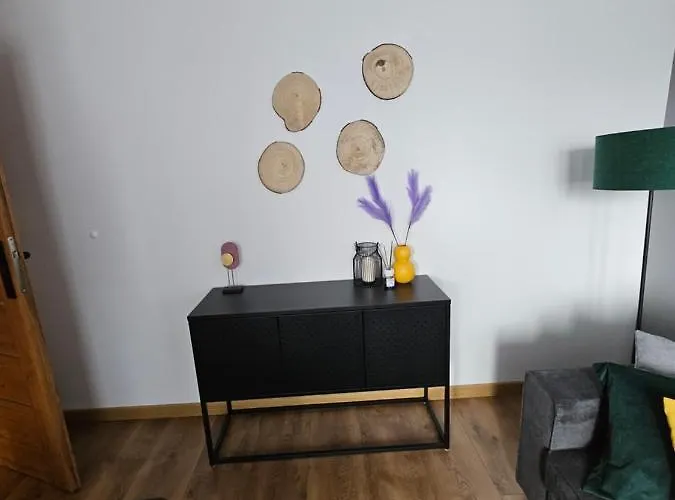 Leszczynska 29 - Blisko Szczyrk, Darmowy Parking, Idealny Na Narty I Rower Apartmán Bílsko-Bělá