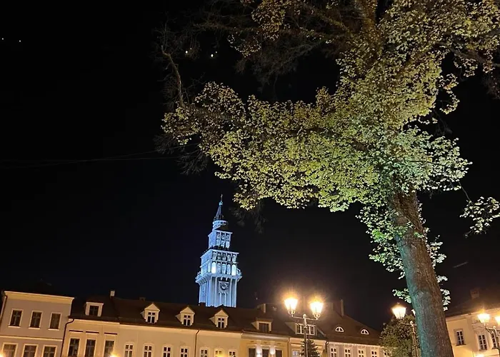 Leszczyńska 29 - Cicho, Blisko Centrum, Idealny Na Rower I Narty *