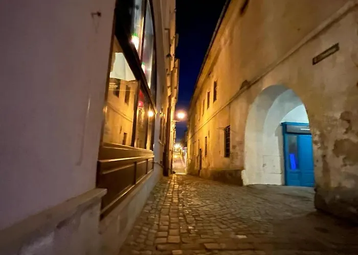 Leszczynska 29 - Blisko Szczyrk, Darmowy Parking, Idealny Na Narty I Rower * Bílsko-Bělá