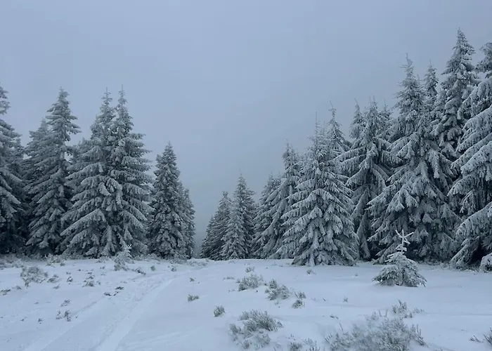 Leszczynska 29 - Cicho, Blisko Centrum, Idealny Na Rower I Narty Bielsko-Biała