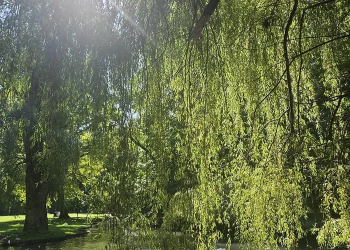 Apartmán Leszczynska 29 - Blisko Szczyrk, Darmowy Parking, Idealny Na Narty I Rower *