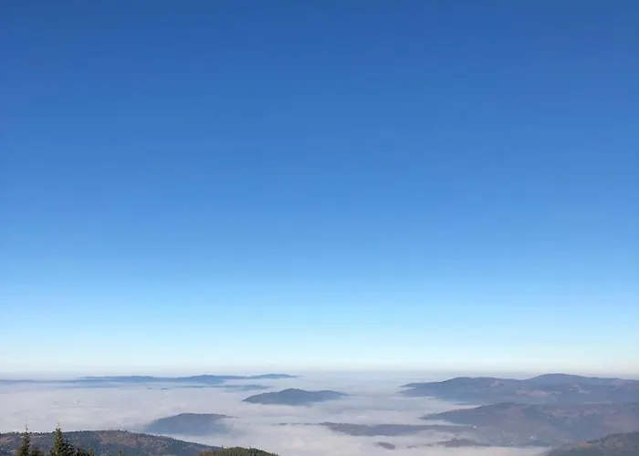 Apartmán Leszczynska 29 - Blisko Szczyrk, Darmowy Parking, Idealny Na Narty I Rower *